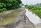 जर्जर सड़क बनी राहगीरों की मुसीबत, गड्ढों में तब्दील मार्ग से हादसे का खतरा