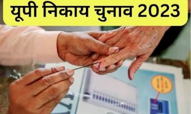 UP Nikay Chunav 2023: पहले चरण की वोटिंग जारी (37 जिलों में आज मतदान) निष्पक्ष और शांतिपूर्ण मतदान सुनिश्चित करने के लिए सुरक्षा के कड़े इंतजाम