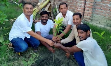 व्यापार मण्डल नगर अध्यक्ष पिंटू सिंह की अगुवाई में दर्जनों जगह वृक्षारोपण किया गया