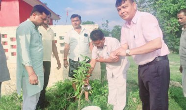 अभियान चलाकर वृहत्  वृक्षारोपण सिकंदरपुर ग्रामसभा में किया गया, लोगो में भी वृक्ष वितरित कर लगाने के लिए किया गया प्रेरित: जन्मेजय सिंह