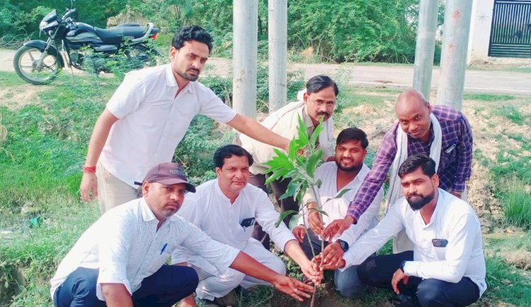 पेड़-पौधों की कमी से निरंतर पर्यावरण संतुलन बिगड़ रहा, पर्यावरण का संतुलन बनाए रखने के लिए पौधारोपण बहुत जरूरी: प्रभात साहू